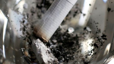 Германия – меката на цигареното лоби