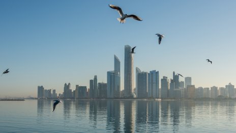 Държавните фондове в Персийския залив бяха създадени за черни дни. Те може би дойдоха