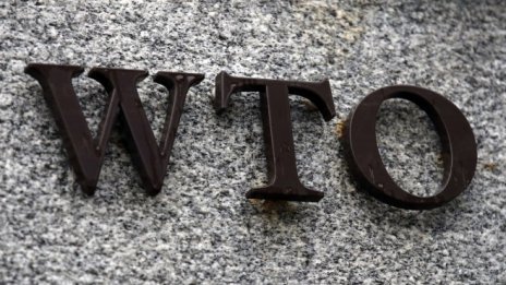 Ролята на Световната търговска организация е по-важна от всякога