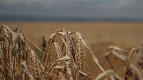 Земеделският сектор в ЕС изостава с навлизането на нови технологии