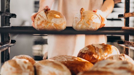 В началото на годината безработицата у нас намалява, заетостта се увеличава