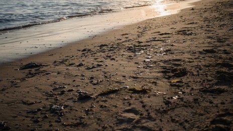 Украйна оцени щетите от мазутния разлив в Керченския пролив на 14 млрд. долара