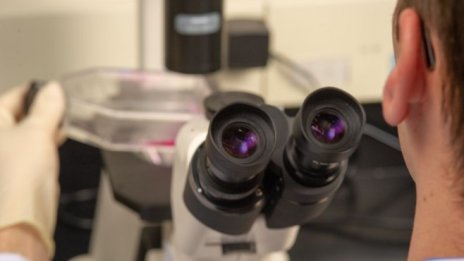 Биотехнологичните борсови листвания поставят рекорд в пандемични условия