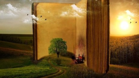 Белгийците преследват книги вместо покемони