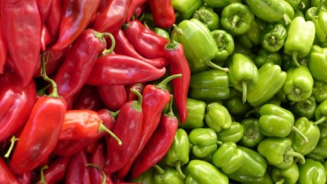 Фермери очакват схемата субсидии срещу фактури да изсветли агросектора