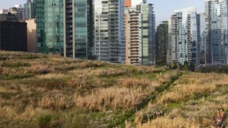 Защо купувачите по света избягват луксозните имоти?