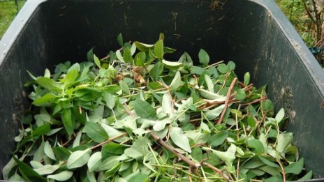 Нова наредба за биоотпадъците е публикувана за обществено обсъждане