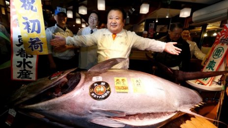 Собственик на японска верига ресторанти плати над 600 хил. долара за една риба