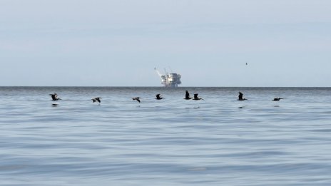 САЩ могат да се превърнат в нетен износител на енергия до 2026 г. 