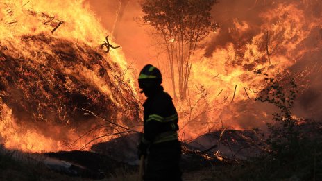 Кадър на деня за 29 юли