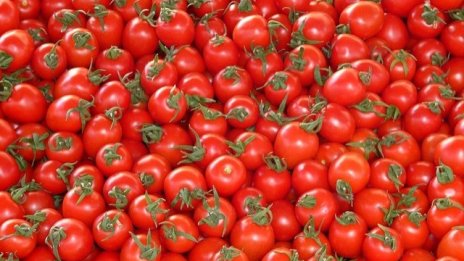 Няма губещи от отпадането на ДДС върху дарените храни