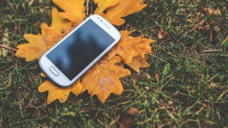 Ще направи ли Samsung революция в чиповете с новия телефон Galaxy?