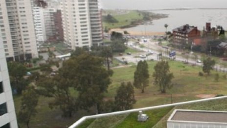 Защо зелените покриви са задължителни за съвременните градове?