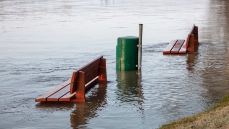 Цените на застраховките няма да се променят с въвеждането на еврото