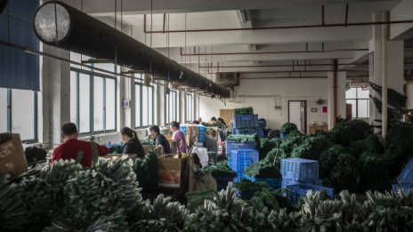 Световното предлагане на труд ли определя лихвите?