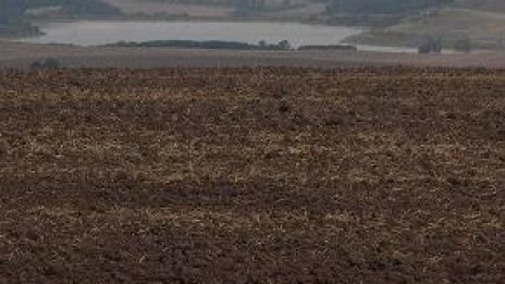 Цените на пшеницата у нас се върнаха на рекордните 330 лв. от август