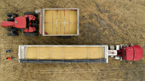 Китай спира временно част от земеделския внос от САЩ