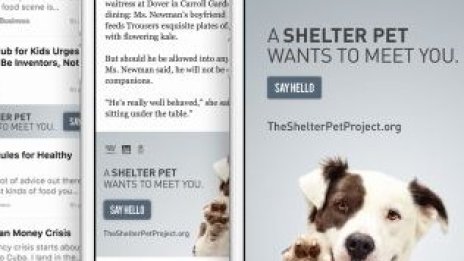 Apple пуска реклами, които ще изглеждат като нормални статии?