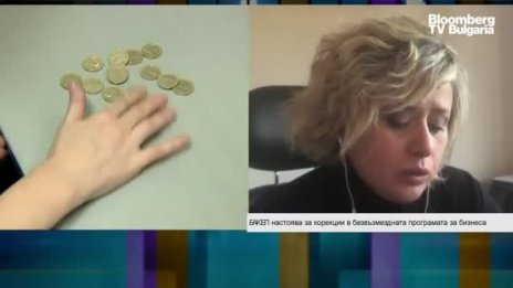 Експерт: Моделът на безвъзмездна помощ за малките фирми трябва  да се промени