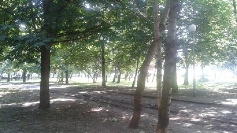 Влагат 360 хил. лв. в ремонт на столичния парк „Герена”