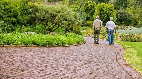 Хр. Христова: Очаквано е отпадането на тавана на максималната пенсия
