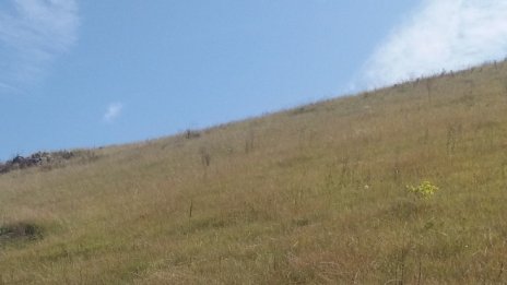 „Елана Агрокредит“ изпраща 2019 г. с 10% спад на кредитите за сделки за земи