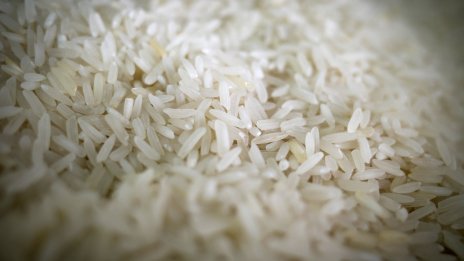 Индия преработи рекордни количества ориз в етанол