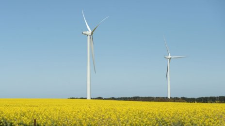 ЕС може да удовлетвори енергийните си нужди с ВЕИ, без да пречи на земеделието и околната среда