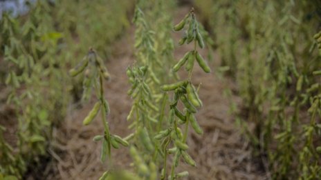 Китай не може да си позволи да се отдели икономически от Запада