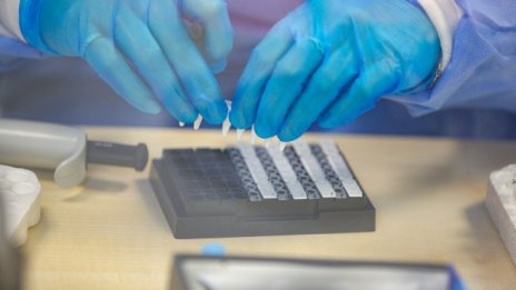 Проф. Коста Костов: Все още сме в най-долната част на кривата