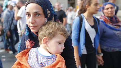 Какво работят пристигналите в България бежанци?