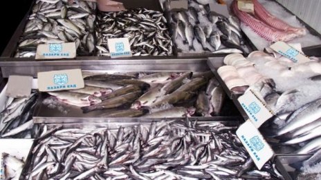 Започва прием на проекти за инвестиции в аквакултури 