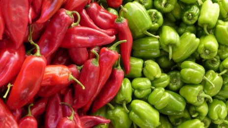 Еврокомисията получи 320 хил. предложения за реформа на земеделската политика