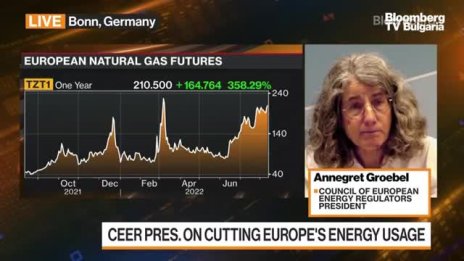 Европейските енергийни регулатори работят да нама спирания на електроподаването