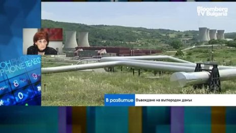 Ще направи ли българската металургия преход към нисковъглеродна икономика? 