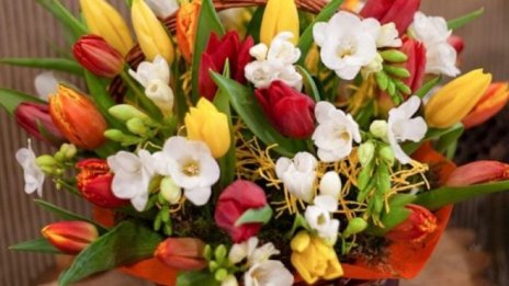 Флорист: Бизнесът с цветя се преориентира онлайн