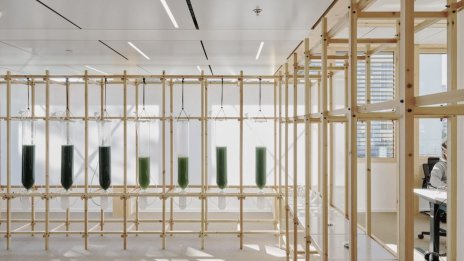 Въглеродно улавяне чрез микроводорасли: ESG ангажираност за бизнеса, заложена в естетичен дизайн