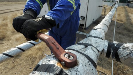 "Транснефт" заяви, че е получила заявки за петрол от Германия и Полша, Берлин опроверга