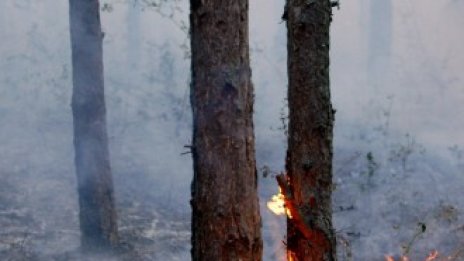 България изостава критично в мерките за намаляване на вредните емисии