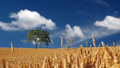 Фермерите трябва да се справят едновременно с растящо търсене и волатилни цени