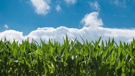 Фонд "Земеделие" отпусна 8,5 млн. лева по четири държавни помощи