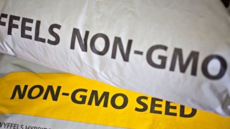 Генен инженер: Няма много изследвания за ГМО, но ЕС има стриктен контрол