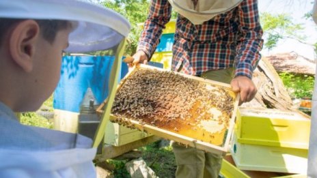 "Бии Смарт Текнолоджис" набра 1,2 млн. лева от пазар BEAM на БФБ