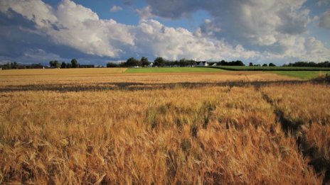 "Адванс Терафонд" е закупило 1 122 дка земеделски земи през юни