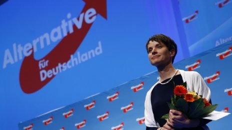 Антиимигрантската партия "Алтернатива за Германия" се радва на рекордна подкрепа