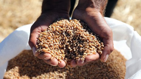 ЕС търси начин да подкрепи износа на селскостопанска продукция от Украйна