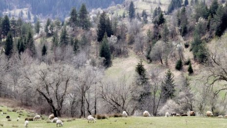 За три находища на варовици са определени концесионери