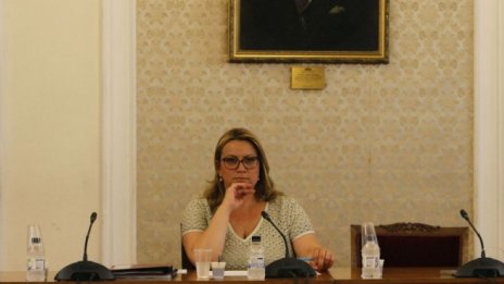 Деница Златева: Не съм разпъвала чадър върху НДК и не ми е оказван натиск 