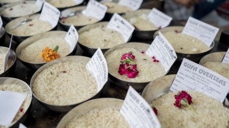 Кадър на деня за 12 май