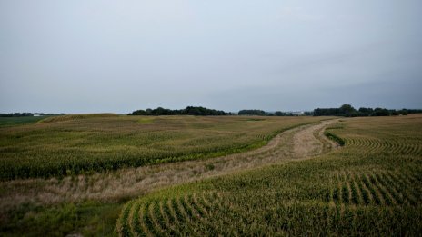 Земеделската земя в САЩ остава незасегната от спада на имотния пазар